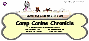Camp Canine ENewsletter Chronicles