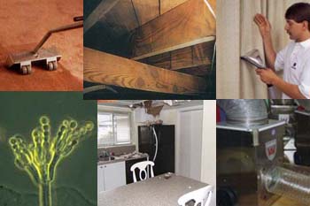 Duraclean Services in Deerfield Beach