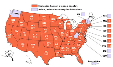 Mosquito Squad™ of Fort Lauderdale Kills Bugs, and Insects with a variety of sprays and chemicals